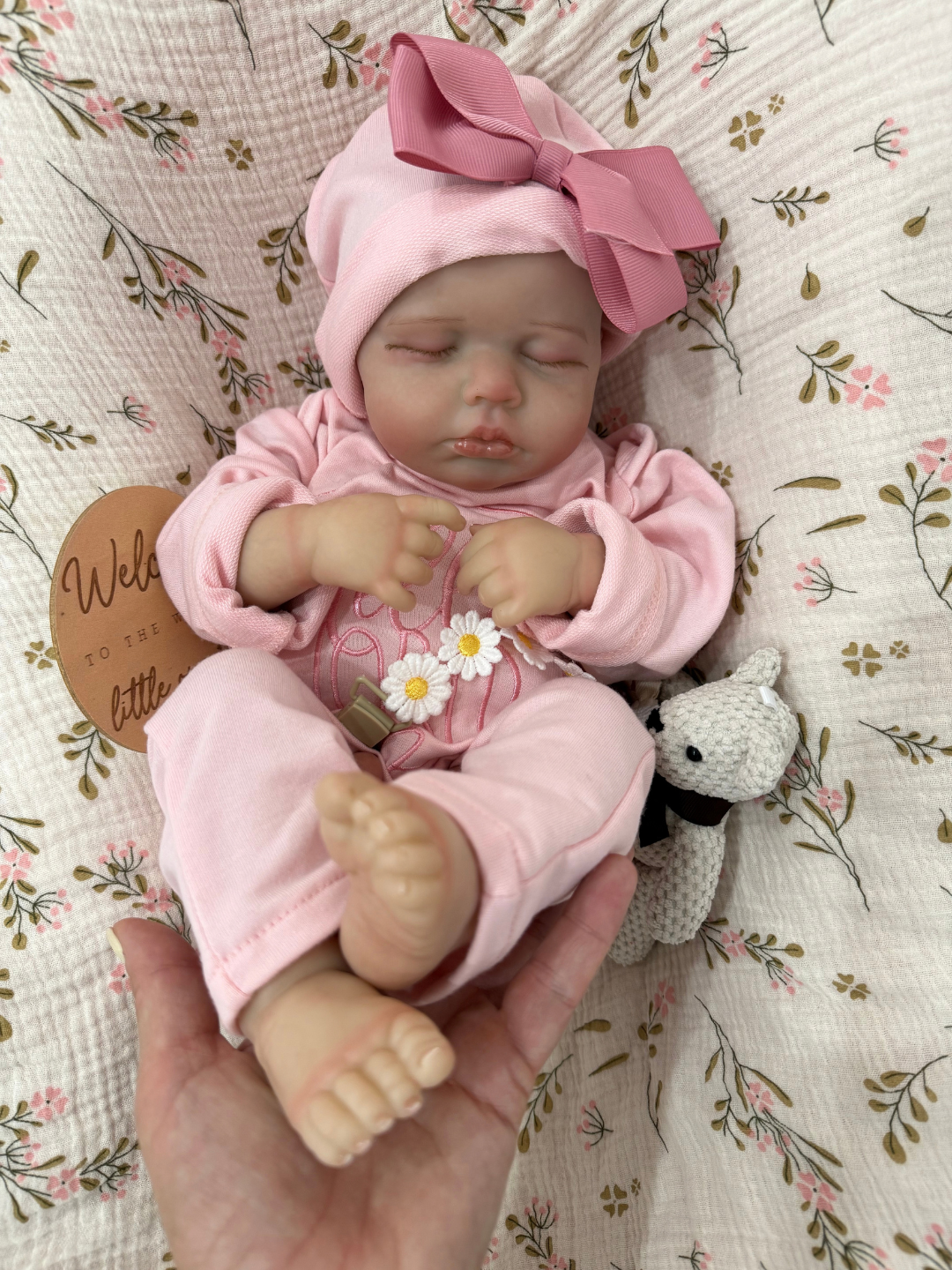 Blush Sprinkle Cloth Girl 20 inch / 2 lbs